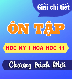 Ôn tập Học kỳ I (KNTT)